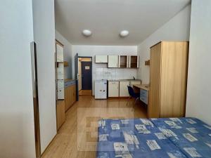 Pronájem bytu 1+kk, Brno, Cejl, 22 m2