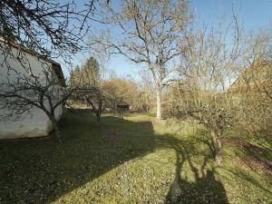 Prodej zemědělské usedlosti, Slabčice, 110 m2