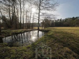 Prodej zemědělské usedlosti, Slabčice, 110 m2