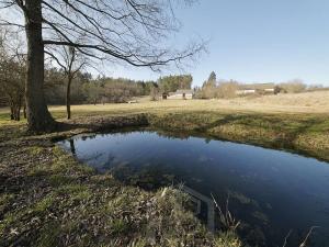 Prodej zemědělské usedlosti, Slabčice, 110 m2