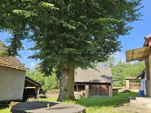 Prodej zemědělské usedlosti, Slabčice, 110 m2