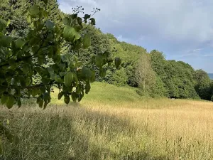 Prodej podílu pozemku, Útěchov, 37614 m2