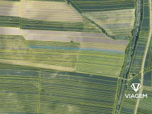 Prodej podílu pole, Javorník, 2093 m2