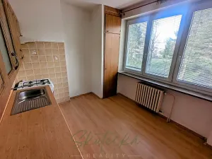Pronájem bytu 3+1, Hodonín, 82 m2