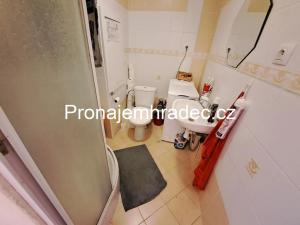 Pronájem bytu 1+1, Hradec Králové, Jungmannova, 45 m2