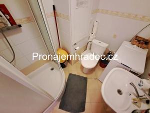 Pronájem bytu 1+1, Hradec Králové, Jungmannova, 45 m2