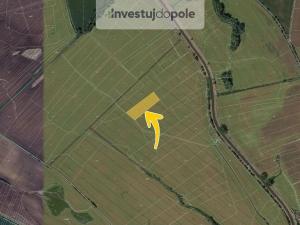 Prodej pole, Moravany, 181591 m2