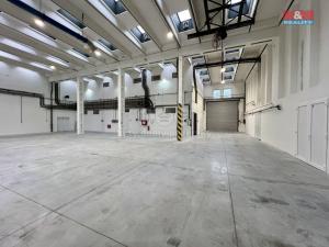 Pronájem výrobních prostor, Město Albrechtice, L. Janáčka, 410 m2