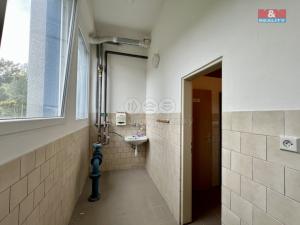 Pronájem výrobních prostor, Město Albrechtice, L. Janáčka, 410 m2