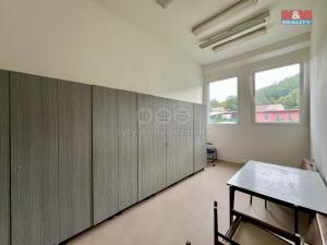 Pronájem výrobních prostor, Město Albrechtice, L. Janáčka, 410 m2