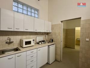 Pronájem výrobních prostor, Město Albrechtice, L. Janáčka, 410 m2