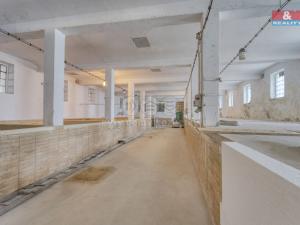 Prodej výrobních prostor, Starý Kolín, Za poštou, 3398 m2