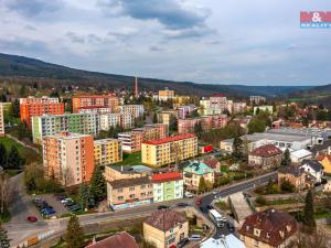 Prodej bytu 3+1, Jílové - Kamenná, Teplická, 62 m2