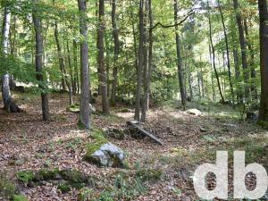 Prodej chaty, Dalovice, 17 m2