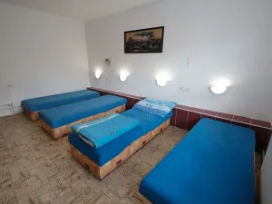 Prodej rodinného domu, Bánov, 315 m2