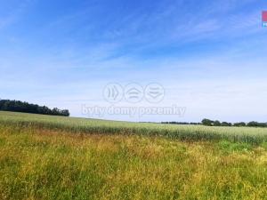 Prodej pole, Měnín, 31465 m2