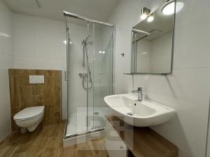 Pronájem bytu 2+kk, Brno, Stavební, 60 m2