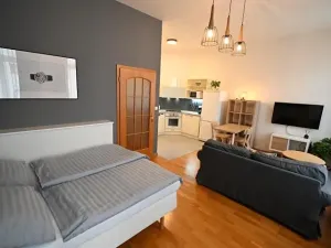 Pronájem bytu 1+kk, Praha - Vinohrady, Sázavská, 35 m2