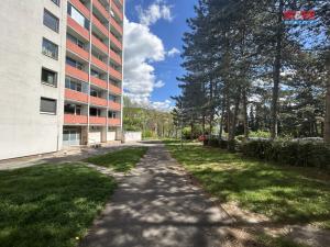 Pronájem bytu 1+kk, Ústí nad Labem - Ústí nad Labem-centrum, Hoření, 22 m2