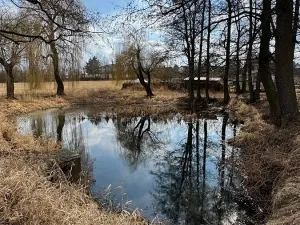 Prodej rodinného domu, Mišovice, 910 m2