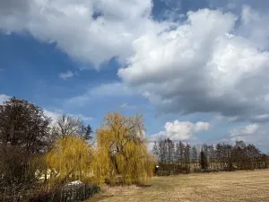 Prodej rodinného domu, Mišovice, 910 m2