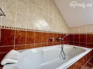Pronájem rodinného domu, Olomouc - Nový Svět, Boční, 156 m2