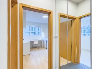 Pronájem bytu 3+kk, Praha - Hodkovičky, U Zátiší, 90 m2