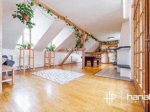 Prodej bytu 5+kk, Olomouc, Resslova, 250 m2
