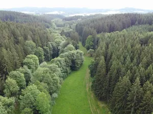 Dražba louky, Chotěvice, 8782 m2