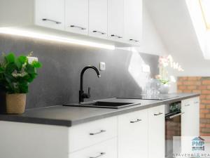 Prodej bytu 2+kk, Znojmo, Havlíčkova, 69 m2