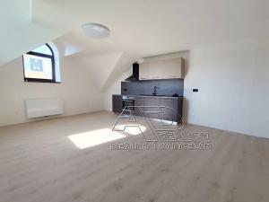 Pronájem bytu 2+kk, České Budějovice, Fráni Šrámka, 59 m2