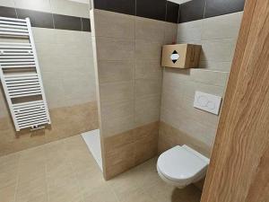 Pronájem bytu 1+kk, Chlumec nad Cidlinou, 35 m2