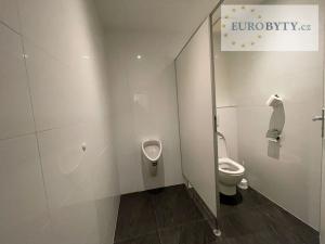 Prodej kanceláře, Praha - Vysočany, Jandova, 83 m2