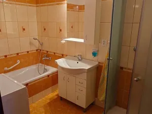 Prodej bytu 3+1, Borek, Družstevní, 73 m2