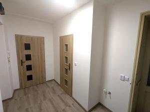 Pronájem bytu 2+kk, Ústí nad Labem, Mlýnská, 54 m2