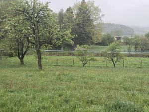 Prodej pozemku pro bydlení, Stará Červená Voda, 1771 m2