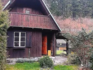 Prodej chaty, Větřní, 38 m2
