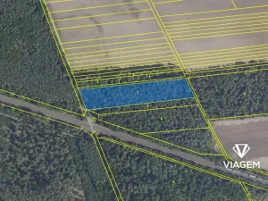 Prodej podílu lesa, Lysá nad Labem, 772 m2