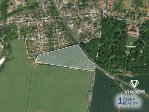 Prodej lesa, Měšice, 41239 m2