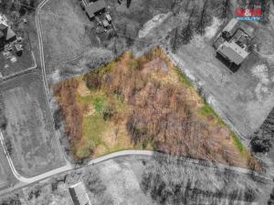 Prodej pozemku pro bydlení, Petrovice u Karviné - Prstná, 23447 m2