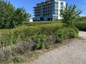 Prodej bytu 1+kk, Kavarna, Bulharsko, 51 m2