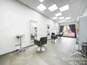 Prodej komerční nemovitosti, Kutná Hora, Zvěřinova, 317 m2