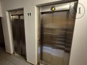 Pronájem bytu 3+kk, České Budějovice, Čéčova, 62 m2