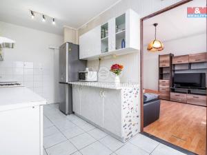 Prodej bytu 4+1, Brandýs nad Labem-Stará Boleslav - Brandýs nad Labem, Na vinici, 84 m2
