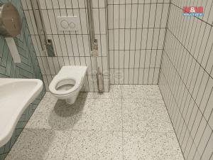 Prodej obchodního prostoru, Opava - Město, Masarykova třída, 50 m2