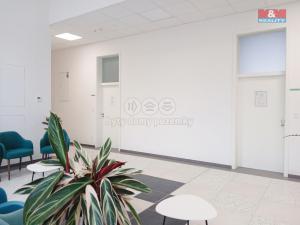 Prodej obchodního prostoru, Opava - Město, Masarykova třída, 30 m2