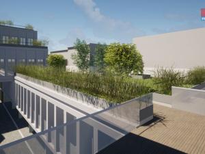 Prodej obchodního prostoru, Opava - Město, Masarykova třída, 200 m2