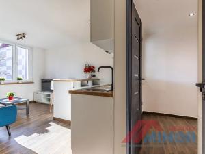 Pronájem bytu 3+kk, Slaný, Vikova, 42 m2