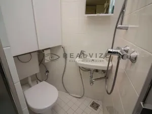 Prodej obchodního prostoru, České Budějovice, Žižkova tř., 90 m2