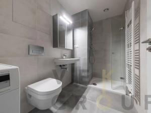 Prodej bytu 2+kk, Praha - Žižkov, Hartigova, 47 m2